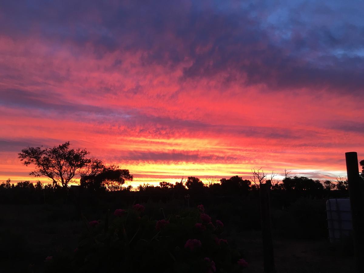 Villa Black Jack Get-A-Way Magpies Nest Orroroo Exterior foto